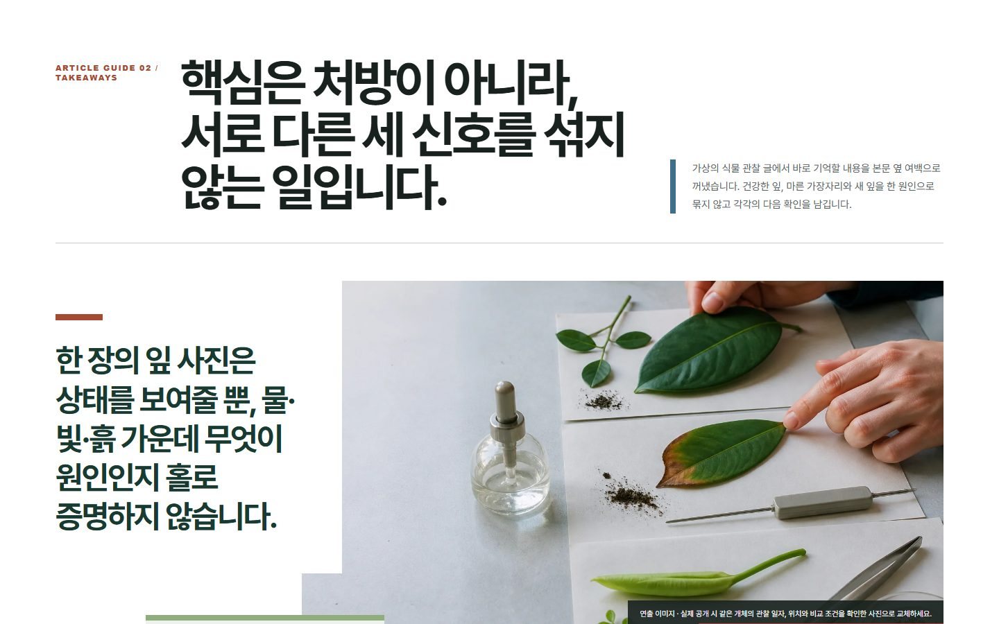 아티클 핵심요약 여백 블록 화면