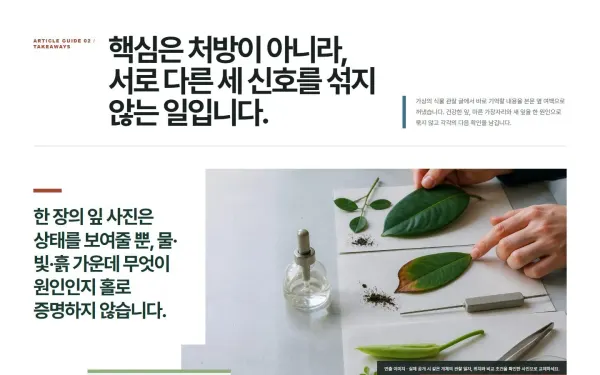 아티클 핵심요약 여백 블록 화면